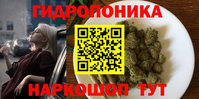 СК Можайск